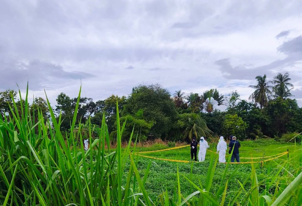 Pekebun jumpa rangka manusia dalam guni reput