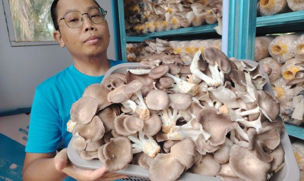 Talesemia pemangkin kejayaan