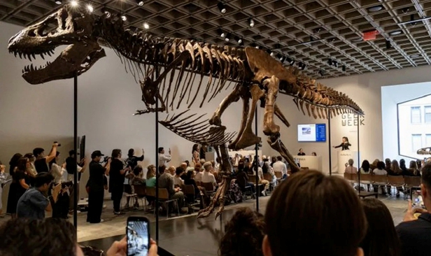 Fosil Tyrannosaurus Rex dijual RM204 juta, catat rekod dinosaur paling mahal di dunia