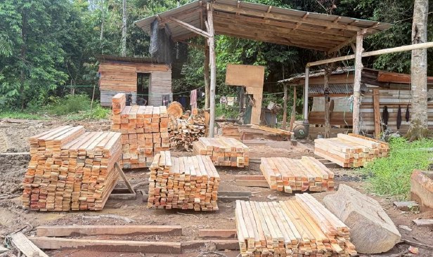 Pemilik kilang kayu haram antara 5 individu ditahan, rampasan RM1.69 juta