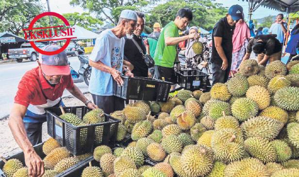 FAMA unjur nilai intervensi beli hasil pertanian cecah RM60 juta