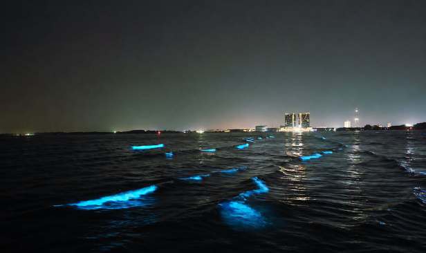 Fenomena 'blue tears' di Pantai Tembeling jadi tumpuan