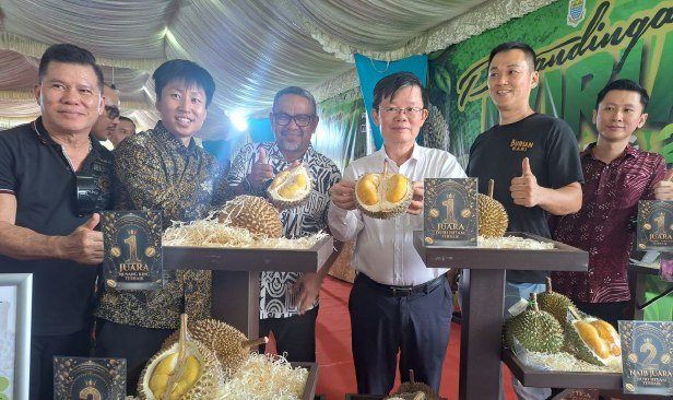 Harga durian di Pulau Pinang masih tinggi, Musang King, Duri Hitam RM38 sekilogram - FAMA