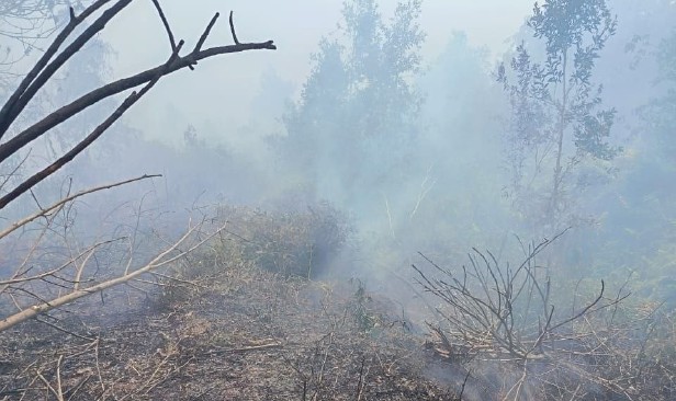 Kebakaran 0.8 hektar tanah gambut dipadamkan, 1.6 hektar masih terjejas