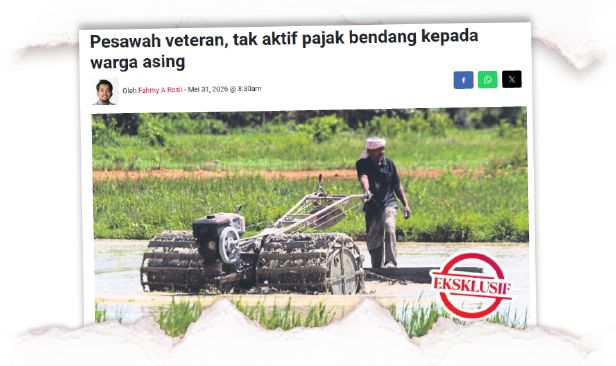 Pesawah pajak bendang kepada warga asing berisiko jejaskan kedaulatan makanan negara - Pakar
