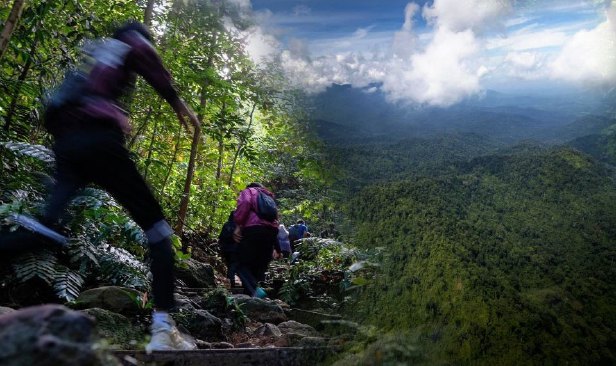 Panik berdepan situasi cemas faktor utama sesat, hilang dalam hutan
