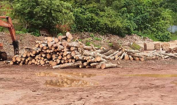 Pembalakan haram, ekstrak pasir dan mineral berharga antara 5 motif utama pencerobohan hutan