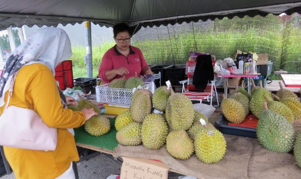 Musang King kena lelong RM5 hingga RM15, gred A hanya RM20 sekilogram