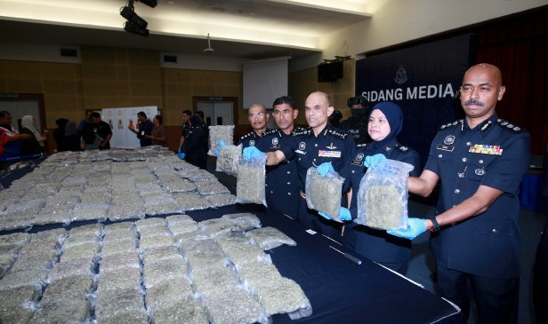 Polis Selangor tumpas 4 sindiket dadah, rampas 116.2kg bunga ganja RM13.34 juta