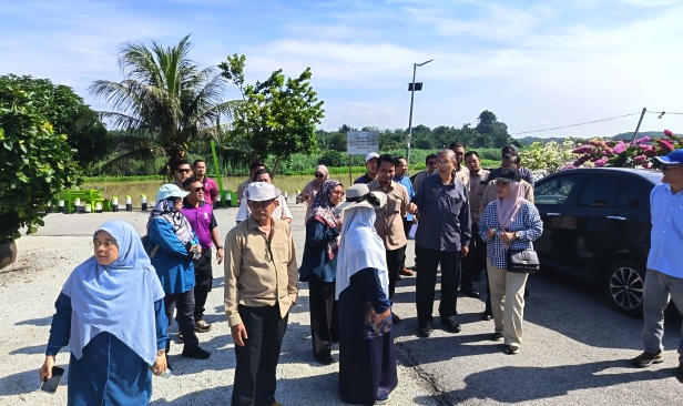 Perak teliti cadangan bina telaga tiub di sawah atasi impak kemarau